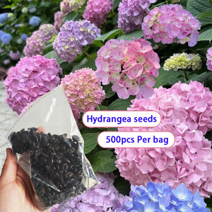 Dropshipping Shopify Etsy Origen de Variedades de Hortensias Fáciles de Cultivar - Product Image 2