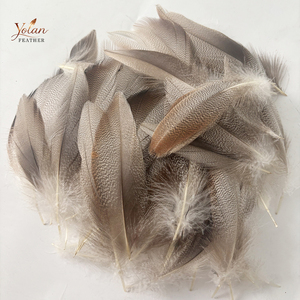 Plumas de pato bronceadas naturales de tamaño mixto al por mayor para collares, adornos de garganta y alas suaves en moscas de salmón, steelhead y spey. - Product Image 1