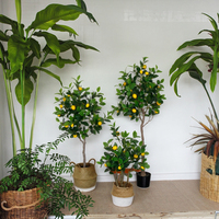 Bonsaï d'agrumes d'intérieur, plante verte artificielle en plastique, ornement pour salon, décoration de magasin de vêtements