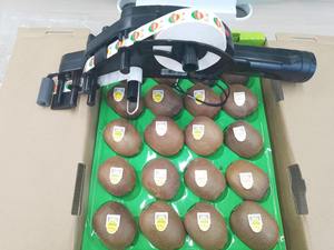 Sản phẩm mới BSC ea40 lớn pin Powered cầm tay phát triển nhãn ứng dụng Rau Trái Cây được ghi nhãn máy - Product Image 4