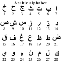Collier personnalisé avec pendentif en forme de disque avec initiale arabe miniature, calligraphie, alphabet gravé, amour, plaqué or, bijoux, cadeau islamique pour l'Aïd, sans rouille