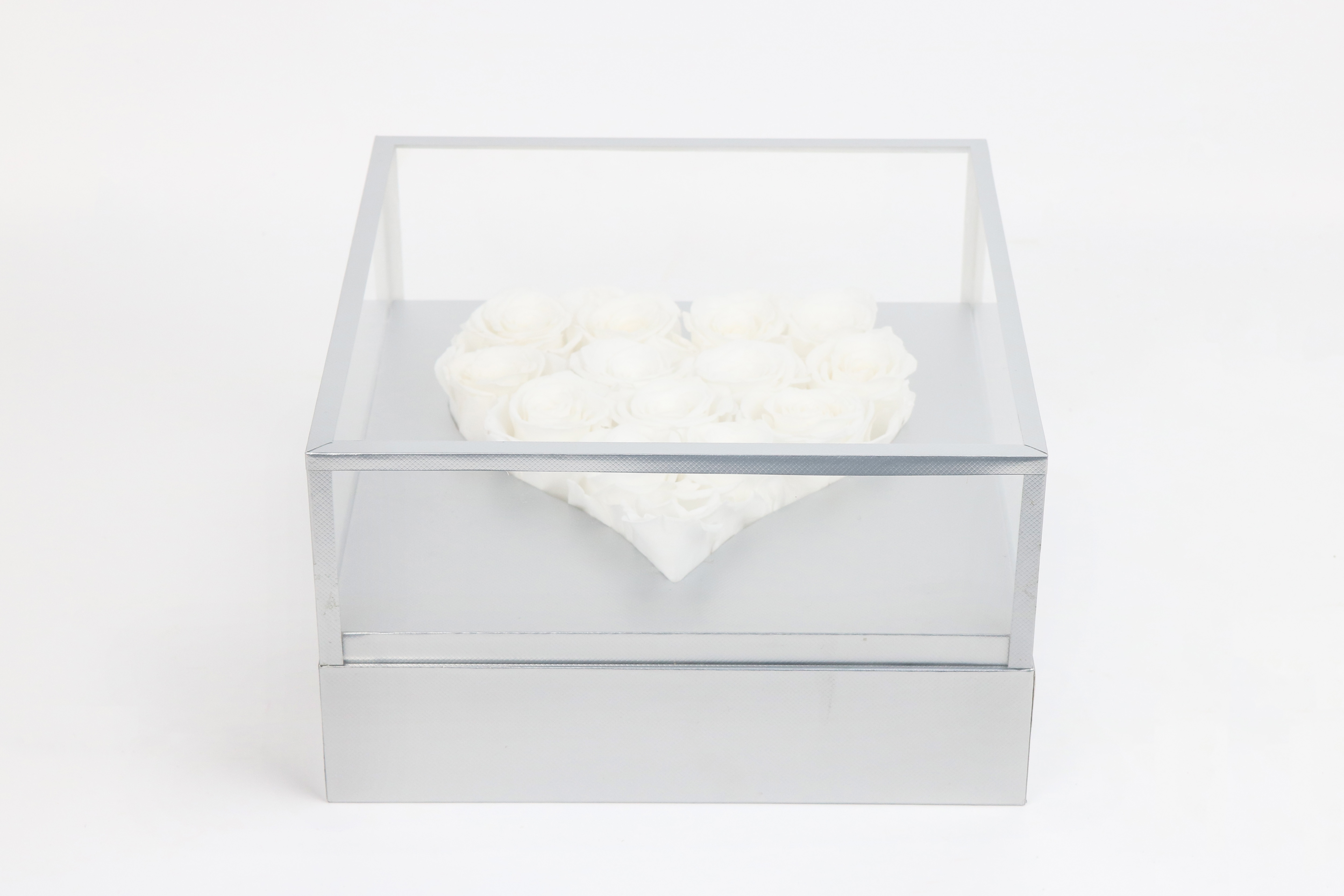 Rose สีขาว