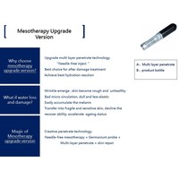 Appareil de gestion de la peau du visage anti-âge avec 2 poignées, raffermissant, anti-rides, rajeunissement cutané, drainage lymphatique