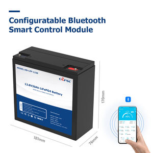 12V 20Ah LiFePO4 peralatan medis kursi roda elektrik baterai lampu LED paket daya sepeda dalam 6000 siklus bawaan BMS - Product Image 3