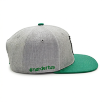 Gorra Snapback Personalizada de 6 Paneles de Algodón de Alta Calidad con Logotipo Bordado en 3D, para Viajes, Moda, Deportes Casuales al Aire Libre
