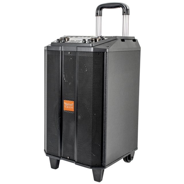 DJ System Wood Dual 10 Inch ACTIVE Portable Trolley Light Dance PRO Karaoke Music Bt Outdoor MOBILE PA Loud Speaker Audio System