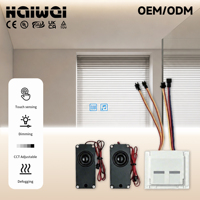 Vente en gros usine 5A 60W Interrupteur tactile à double touche pour miroir, variateur de lumière continu DC12V et anti-buée pour miroir de salle de bain LED