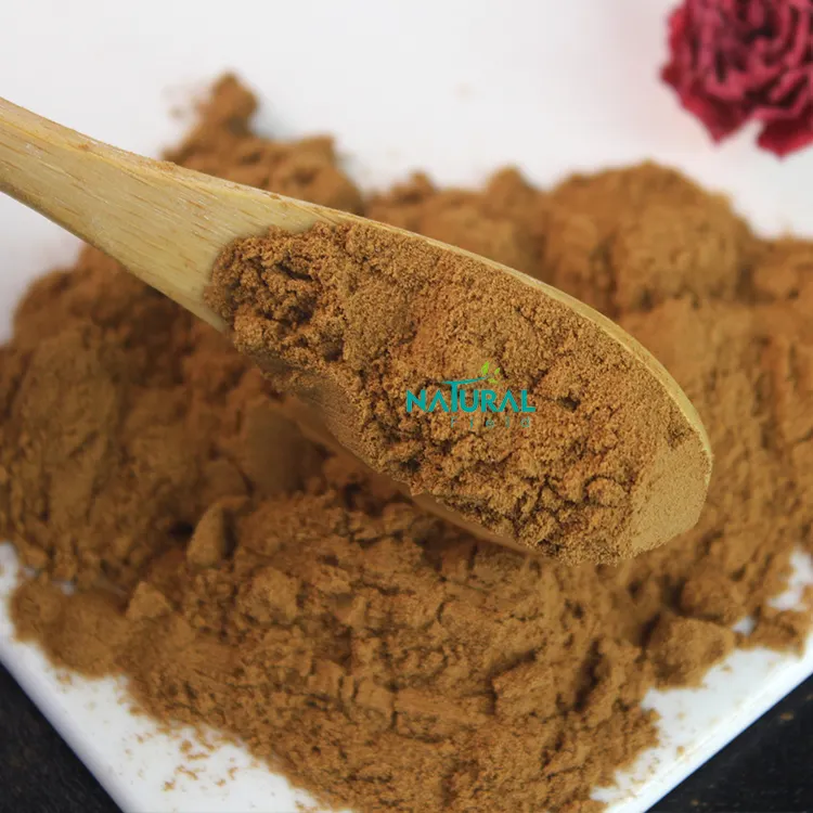 Fabrieksgrondstof Reishi Extract Mushroom Reishi Extract Poeder Ganoderma Lucidum Extract