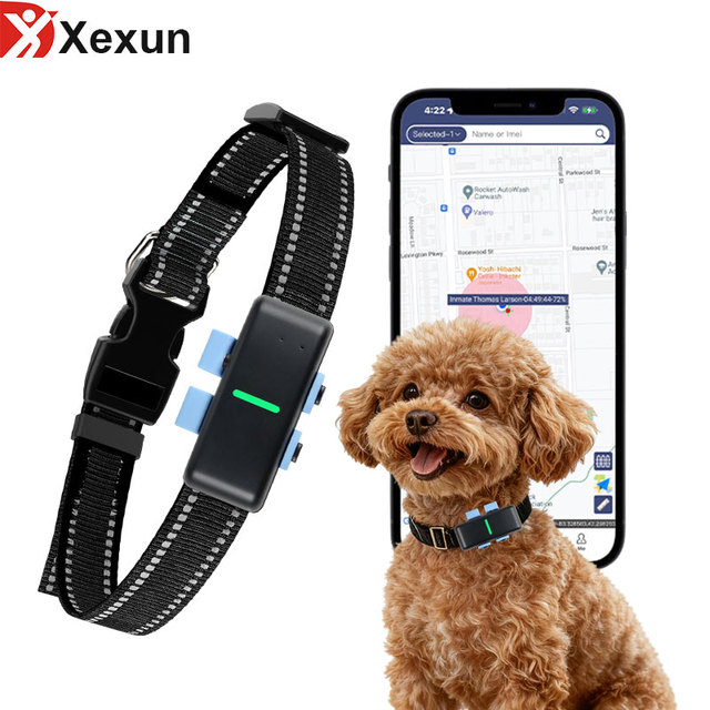 OEM/ODM 4G Gps Tracker Collar IP68 Waterproof Auto Pet Calling Pet Gps and Activity Smart Tracker Dog Gps Tracker with APP