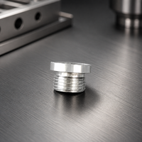 Pièce en acier inoxydable usinée CNC, non standard, pour fraisage, tournage et perçage
