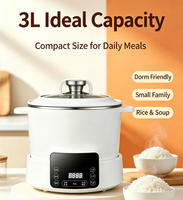 Cuiseur à riz intelligent à faible teneur en sucre, panier vapeur relevable, contrôle numérique, chauffage IH, cuve intérieure en acier inoxydable, cuisson rapide 2,1-3,0 L
