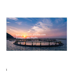 Piège de pêche électrique, piège à poissons, crabe, à crevettes, Cage pliable - Product Image 5