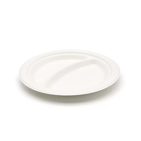 Assiette en bagasse de canne à sucre biodégradable et compostable, assiette jetable écologique, plateau de service alimentaire, vente en gros