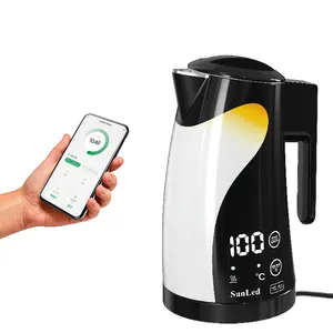 2024 популярный 1.25l Bpa-free чайник горячей воды из нержавеющей стали полностью автоматический Электрический чайник