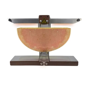 Fourneau de cuisson et de grillage portable en acier inoxydable pour <span class=keywords><strong>raclette</strong></span>, avec roue chauffante en <span class=keywords><strong>demi</strong></span>-cercle, pour aliments et collations, état d'occasion, moteur inclus - Product Image 5