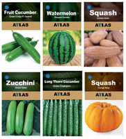 Kit de survie pour jardin potager Atlas, 29 variétés modernes, origine Chine, pour la culture des légumes