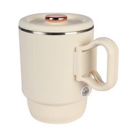 Bouilloire électrique portable extérieure de voyage en acier inoxydable tasse d'eau chaude marmite avec contrôle mécanique