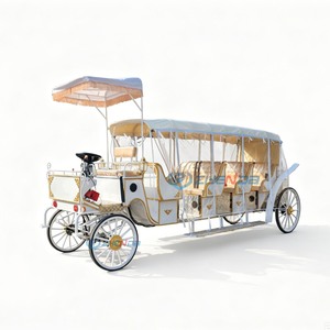 Vente en gros de calèches électriques, calèches de mariage électriques, calèches électriques de style européen pour la visite des monuments - Product Image 1
