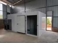 Nouveau Déshydrateur Alimentaire Commercial Électrique à Air Chaud Puissant pour Fruits Secs, Graines, Oignons, Poisson, Ail, Capacité 300 kg par Lot