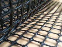 Geomalla Plástica Biaxial de 55kn 80kn para Refuerzo de Superficies y Subterrenos de Grava para Caminos al Mejor Precio