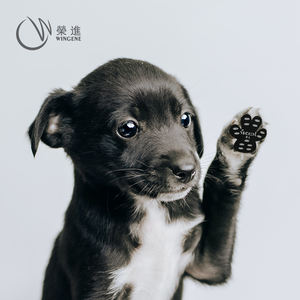 Autocollants antidérapants pour pattes de <span class=keywords><strong>chien</strong></span>, protègent <span class=keywords><strong>les</strong></span> pattes de <span class=keywords><strong>chien</strong></span> de la saleté, des coupures et de la chaleur, imperméables - Product Image 2