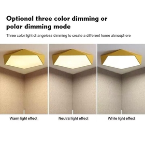 Nhà máy phổ biến trang trí phòng ngủ Acrylic Chụp đèn chuyển đổi và điều khiển bằng giọng nói dẫn đèn trần - Product Image 3