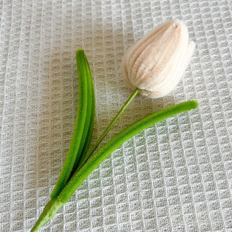 #ทิวลิปสีขาว 5 ดอก