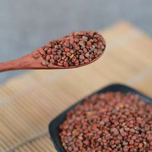 Vente en gros de graines de raphanier de Chine de haute qualité, variété complète, pour la cuisson à la wok - Product Image 4