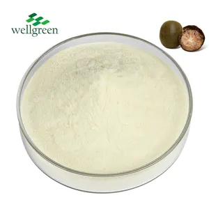 Sales Sweetener Mogroside v 20% Monk Fruit Extract Monk Fruit Sweetener Extract Mogroside v