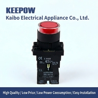 Kaibo Electrical Appliances Wholesale Supply of Lighted Pusher Buttons XB2-EW3462 Sakelar Tombol Tekan Berlampu