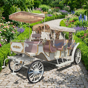 Carruaje Turístico Blanco de Buena Calidad, Atracciones Turísticas, Hoteles, Carruajes Florales en Venta - Product Image 1