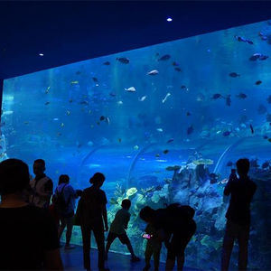 Wandmontage Acryl <span class=keywords><strong>Aquarium</strong></span> <span class=keywords><strong>Aquarium</strong></span> Aquaria & Accessoires Plastic 100% Pure Geïmporteerd Lucite 20Mm-500Mm Duurzame 0.041% - Product Image 2