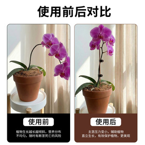 Support de plante en polyester Airi Shield pour orchidée Phalaenopsis, bâton de soutien pour plantes grimpantes - Product Image 5