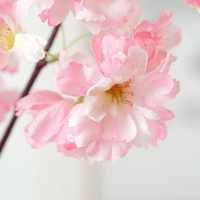 Bunga Sakura Tiruan Sutra Grosir, Cabang Bunga Sakura Pink Putih Buatan Tangan Tahan Lama untuk Hari Valentine