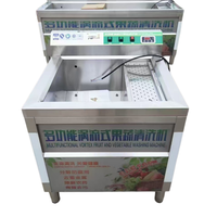 Laveuse d'ozonage écologique pour fruits et légumes, pour la transformation alimentaire biologique, usage commercial, grande capacité, compatible avec les noix