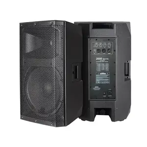 ACC CAC15ADA Professional Audio 500W 15 Inch Powered Speaker Active Digital Power Amplifier Speaker System speakers