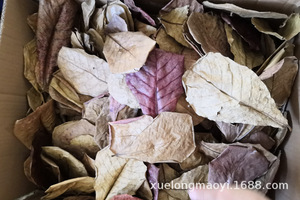 กล่องใส่สัตว์เลี้ยงใบไม้ปีนเขาใบไม้อัลมอนด์อินเดีย - Product Image 5