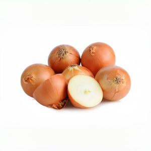 2025 Nieuwe Oogst Chinese Ui Verse Holle Gele Ui 5-8Cm In Gaaszakken (De Goedkoopste) Holle Nederlandse Uien - Product Image 2