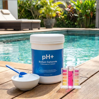 RHONDA PH Plus Cendres de soude 99,2% Carbonate de sodium Augmenteur de pH Nettoyant Dissolution rapide Alcalinité Prévient l'opacité des piscines et spas