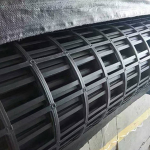 Small Mesh Size 125*125 Mm Fishing <strong>Net</strong> Basket Steel Plastic Geogrid Composite Plastic <strong>Net</strong> - Product Image 2