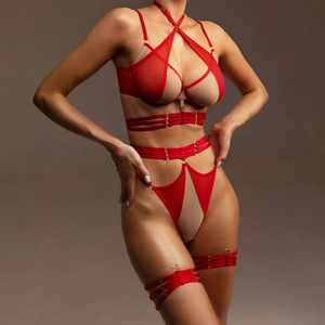 Ensemble de lingerie séparé sexy de haute qualité, best-seller, en résille transparente patchwork, avec sangle de serrage et effet gainant en treillis - Product Image 1