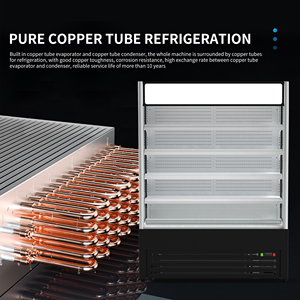 <span class=keywords><strong>ตู้</strong></span>ม่านอากาศเย็นหลายชั้นแสดง<span class=keywords><strong>โฆษณา</strong></span> R290 LED 110V ได้รับการรับรองจาก US ETL - Product Image 6