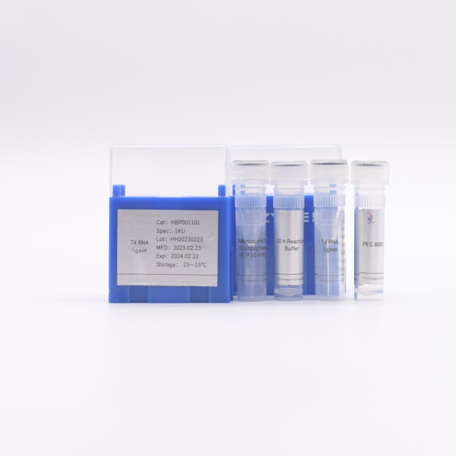 Vero DNA Assay Kit