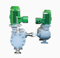 Pompe doseuse hydraulique à diaphragme, fonctionnement continu et stable pour la dosage pharmaceutique