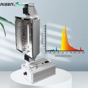 水培植物生长灯600W 1000W DE HPS室内生长用HPS镇流器