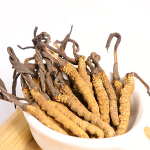 السائبة الطازجة المجففة كورديسيبين شيتاكي mycelium كامل teins كورديسيبس سينينسيس الفطر كورديسيبس فطر فطر militaris الفطريات - Product Image 6