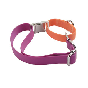 Collier pour chien en PVC, couleurs personnalisées, imperméable, durable, réglable, style simple, toutes saisons, accessoire pour animaux de compagnie - Product Image 2