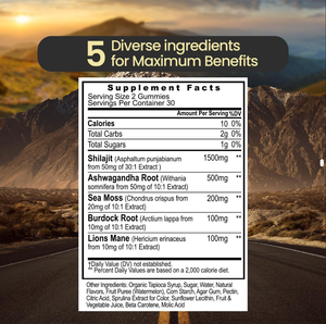 Bio Himalaya Shilajit Gummies Pure Shilajit Candy Vegan <span class=keywords><strong>Brain</strong></span> Booster Energie Ausdauer Unterstützung OEM Service - Product Image 5