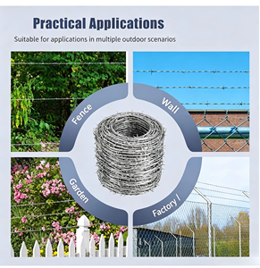 รั้วลวดหนามแบบตาข่ายเหล็กสองชั้นพร้อมตะขอหนาม - Product Image 6