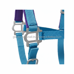 Wholesale Price Customized Turquoise Color Double Ply Nylon Horse Halter with Adjustable <b>Padded</b> Crown & Nose in Many Colors - Product Image 1
